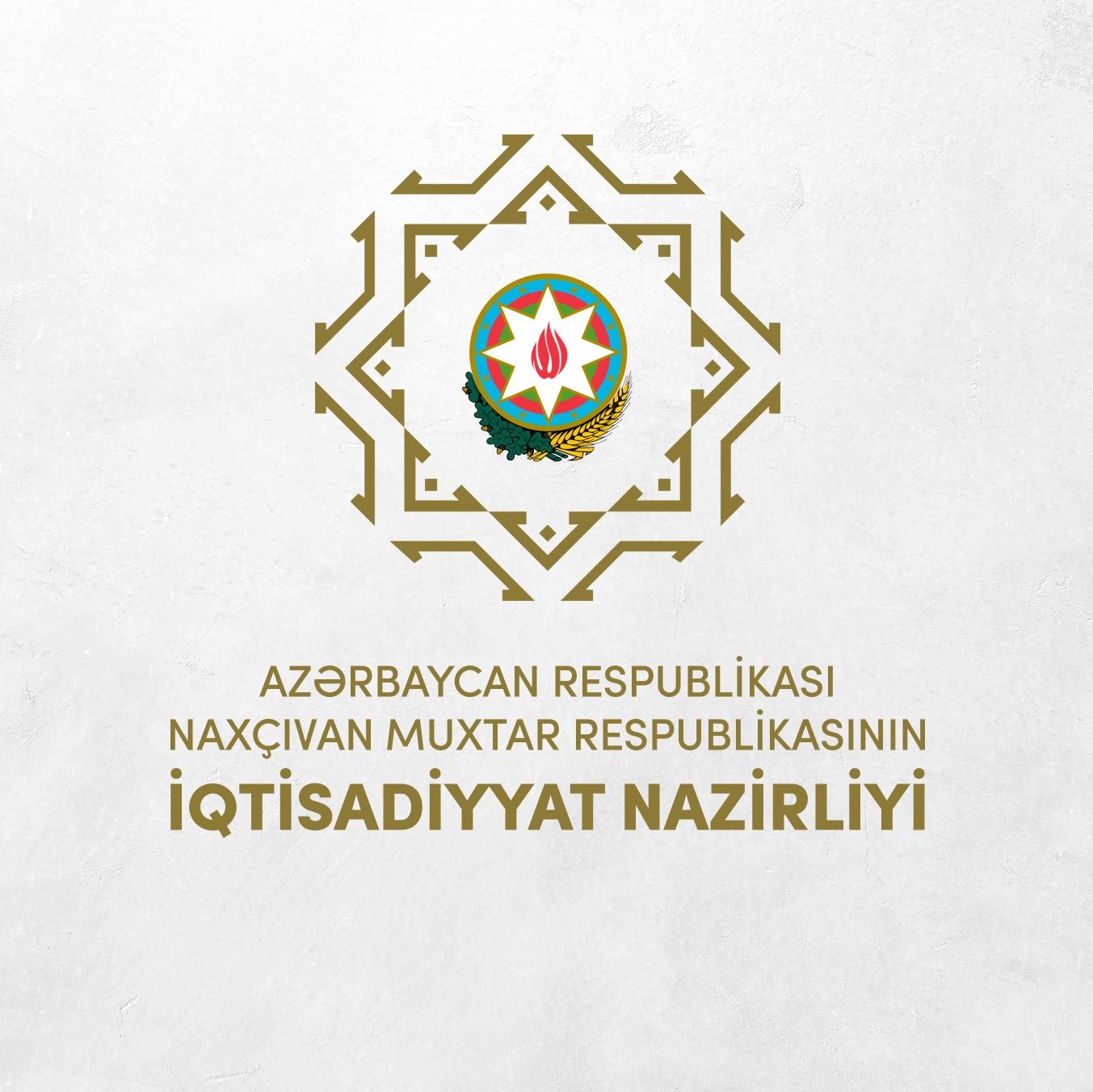 Partner Logo 1