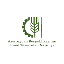 Partner Logo 6